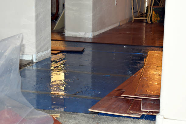 Professional Water Damage Restoration technician working in Searsport, ME